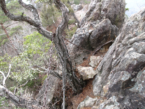 20140102hike (117)